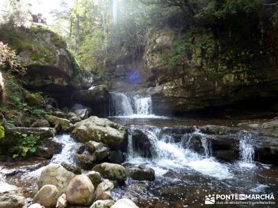 Parque Natural Sierra de Cebollera (Los Cameros) - Acebal Garagüeta;turismo por guadalajara agencia